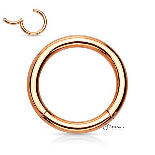 16 Gauge Hinged Stainless Steel Segment Hoop Rings-silver | Gold | Black | Rose Gold-Best Sellers, Body Piercing Jewellery, Cartilage, Hoop Earrings, Jewellery, Men's Earrings, Men's Jewellery, Nose, Septum Ring, Women's Earrings-cp0016-rg01_600-Glitters