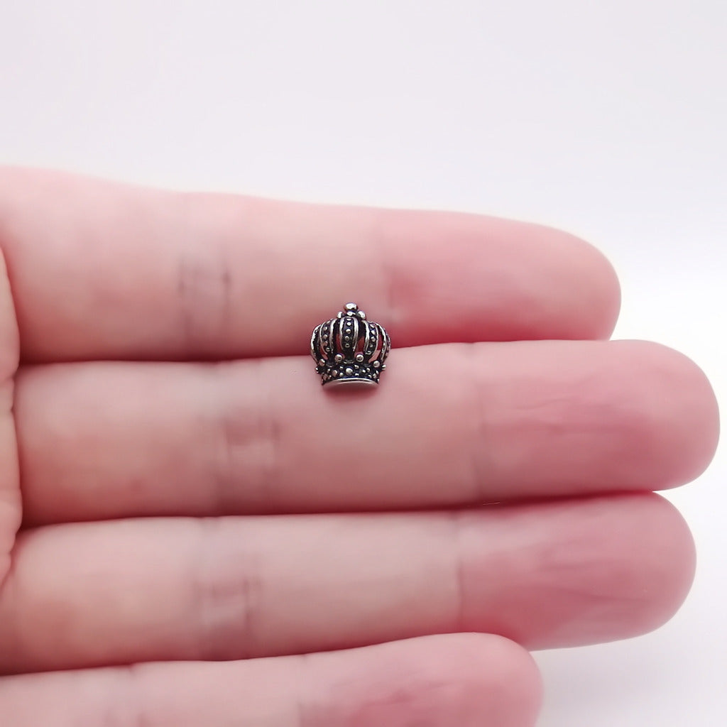Stainless Steel Crown Fake Plug Earring-Fake Plugs-4-Glitters