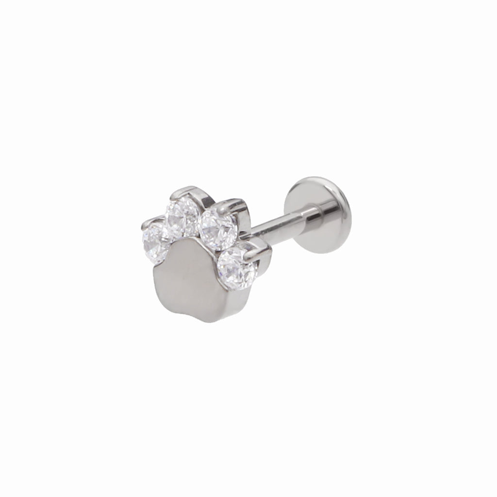 Titanium CZ Paw Top Flat Back Stud Earrings-Tragus | Cartilage | Daith | Conch-1-Glitters